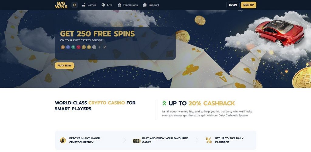 BigWins Casino Site - Check Out 3 Important Things Before 200 Cash Money Spins